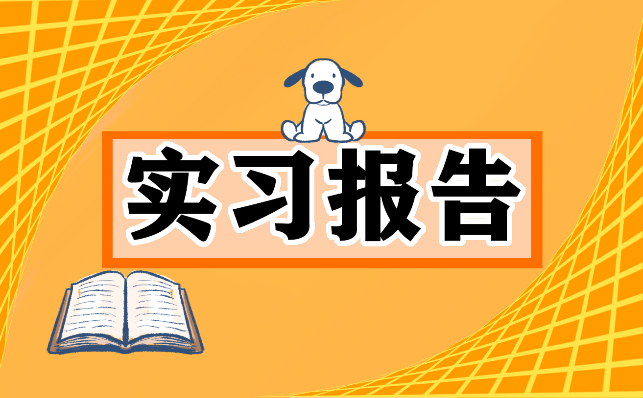 本科实习报告总结