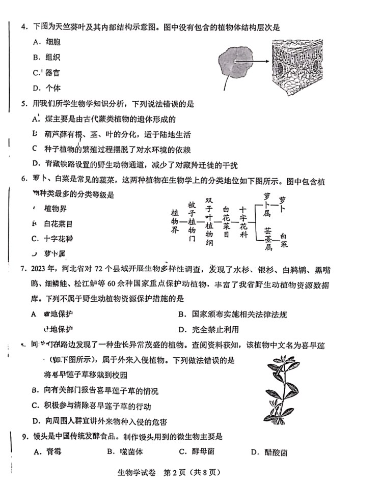 2024河北省中考生物真题及答案