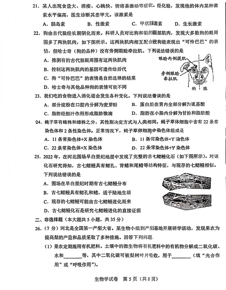 2024河北省中考生物真题及答案