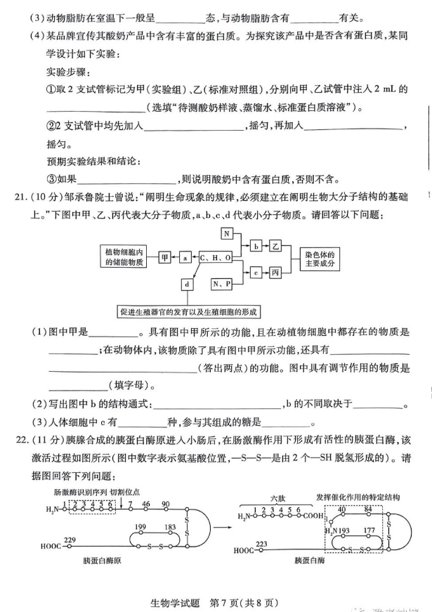 河南天一大联考2023-2024学年高一上学期期中考生物试题及答案