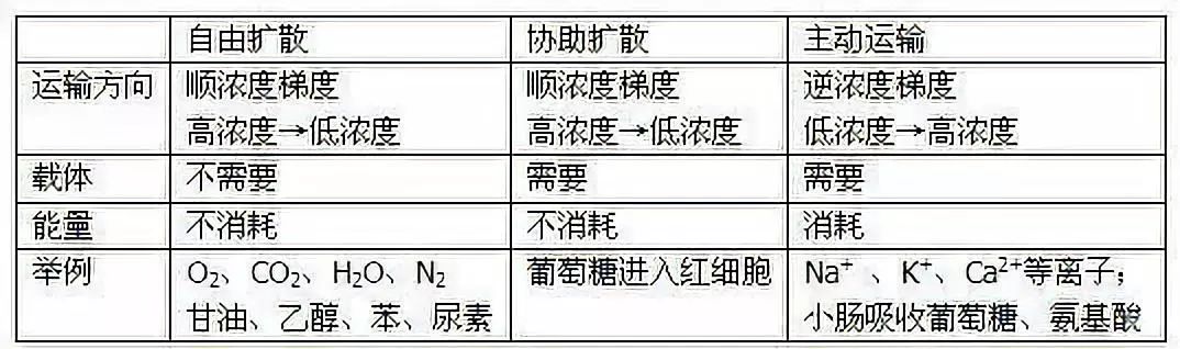 高一生物必修一知识点总结