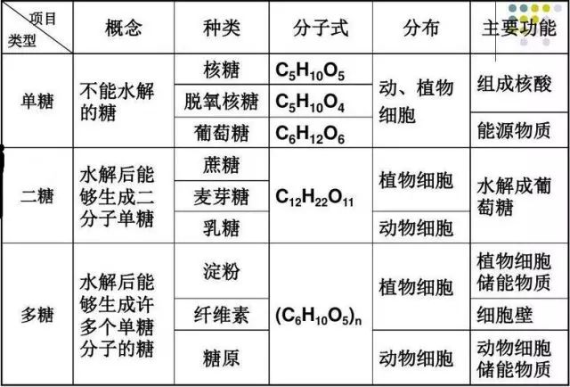 高一生物必修一知识点总结