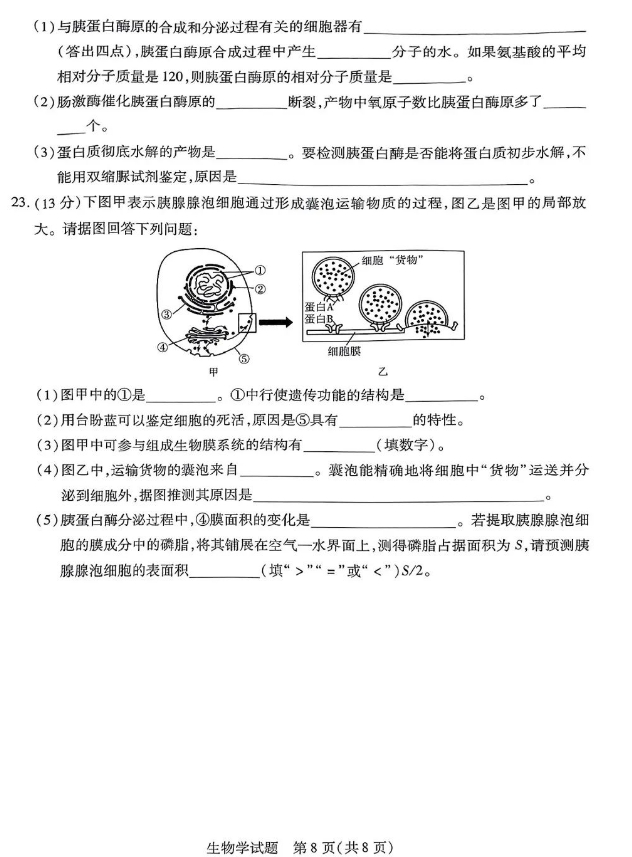 河南天一大联考2023-2024学年高一上学期期中考生物试题及答案