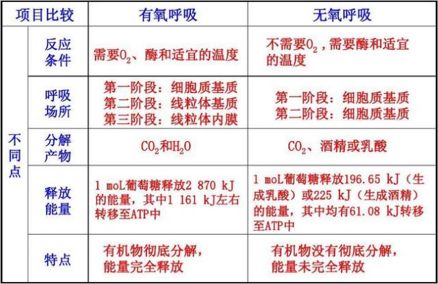 高一生物必修一知识点总结