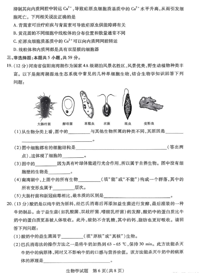 河南天一大联考2023-2024学年高一上学期期中考生物试题及答案