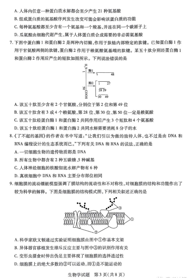 河南天一大联考2023-2024学年高一上学期期中考生物试题及答案