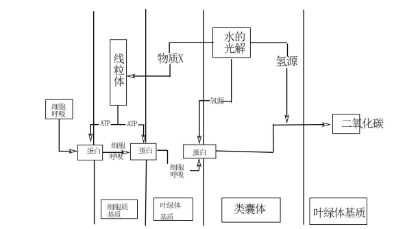 2023天津市普通高中学业水平选择性考试生物试题