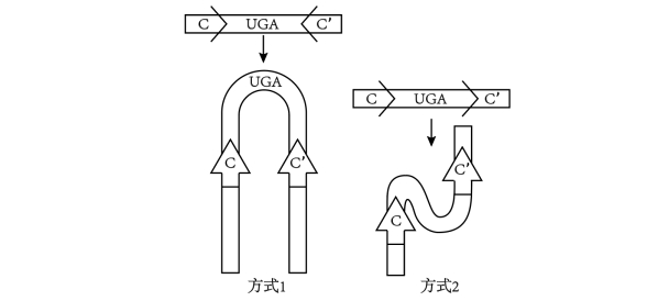 2023天津市普通高中学业水平选择性考试生物试题