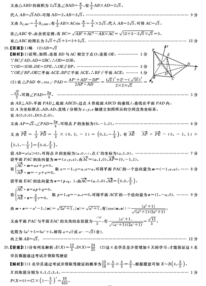 福建百校联考2024高三正月开学考数学试题及答案解析