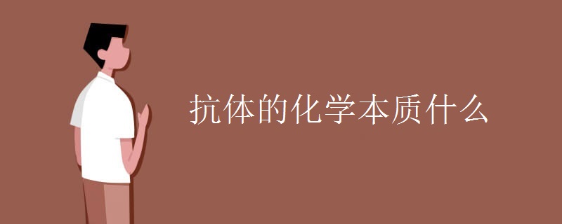 抗体的化学本质什么.jpg