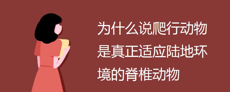 为什么说爬行动物是真正适应陆地环境的脊椎动物