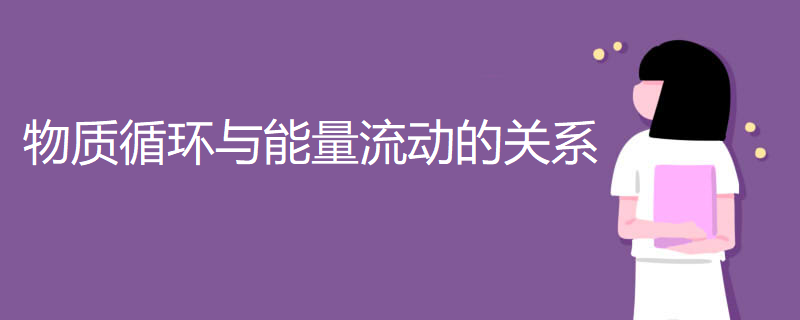 物质循环与能量流动的关系