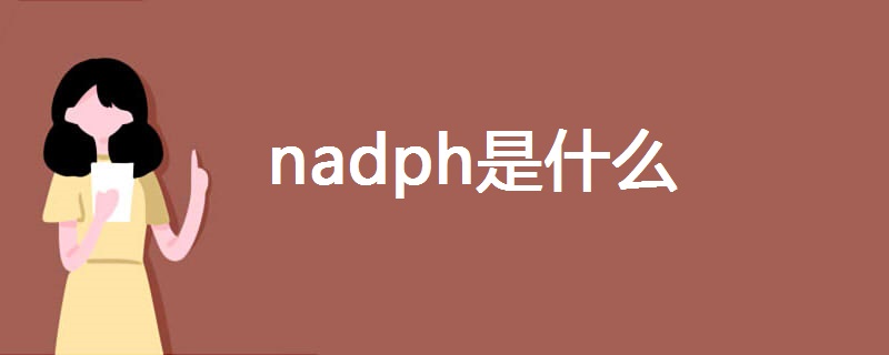 nadph是什么