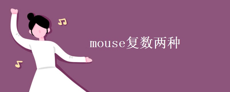 mouse复数两种